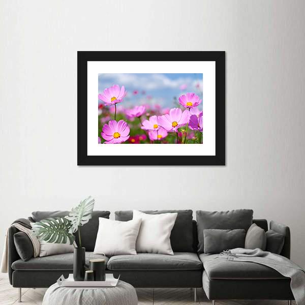 Pink Cosmos Field And Sky Canvas Wall Art-3 Horizontal-Gallery Wrap-25" x 16"-Tiaracle