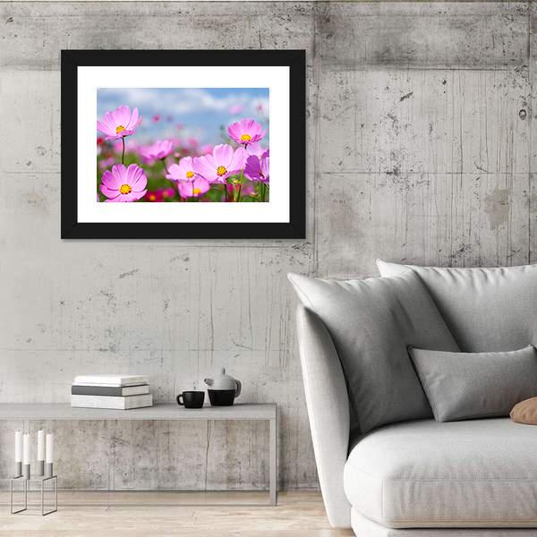 Pink Cosmos Field And Sky Canvas Wall Art-3 Horizontal-Gallery Wrap-25" x 16"-Tiaracle