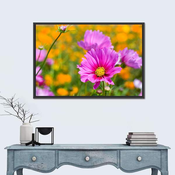 Pink Cosmos In The Flower Fields Canvas Wall Art-1 Piece-Floating Frame-24" x 16"-Tiaracle