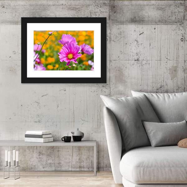 Pink Cosmos In The Flower Fields Canvas Wall Art-3 Horizontal-Gallery Wrap-25" x 16"-Tiaracle