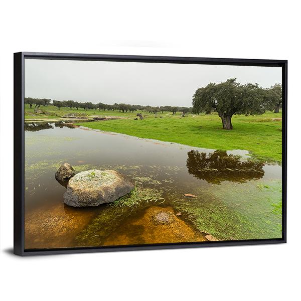 Pond In Extremadura Spain Canvas Wall Art-1 Piece-Floating Frame-24" x 16"-Tiaracle