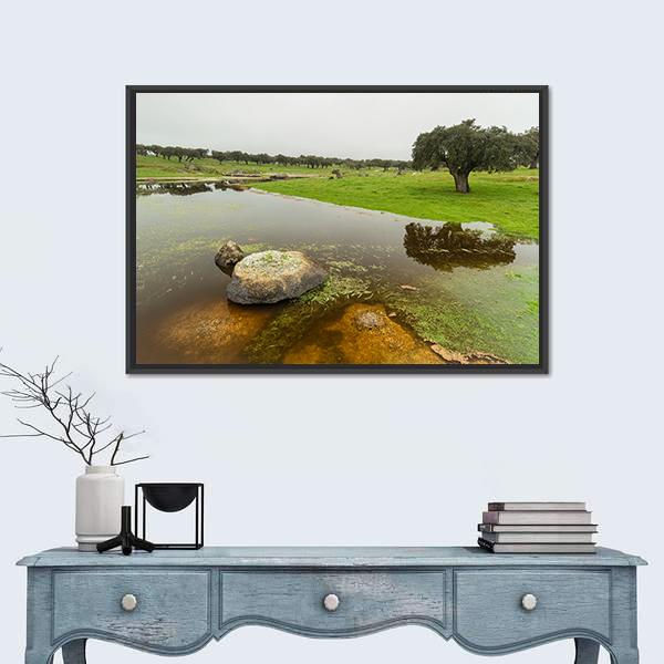 Pond In Extremadura Spain Canvas Wall Art-3 Horizontal-Gallery Wrap-25" x 16"-Tiaracle