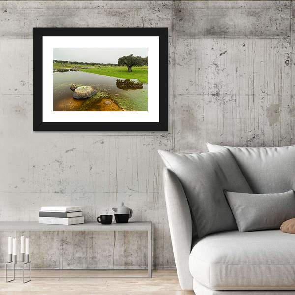 Pond In Extremadura Spain Canvas Wall Art-3 Horizontal-Gallery Wrap-25&quot; x 16&quot;-Tiaracle