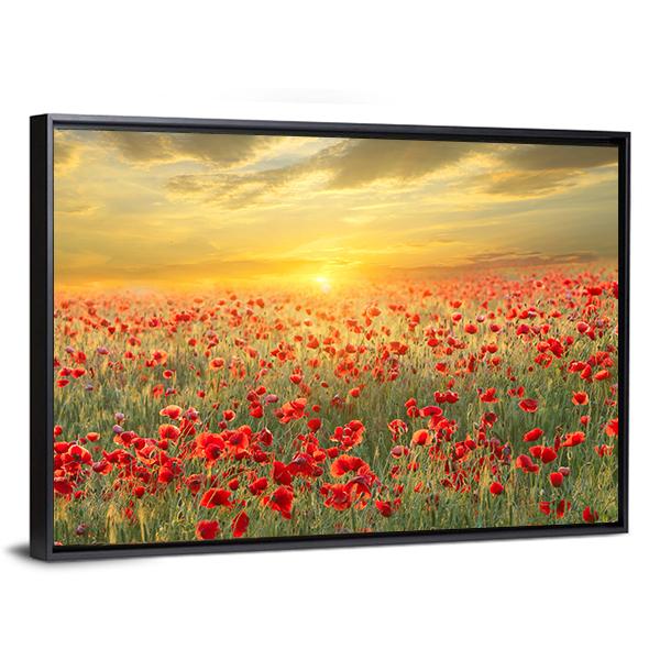 Poppy Filed At Sunset Canvas Wall Art-5 Horizontal-Gallery Wrap-22" x 12"-Tiaracle