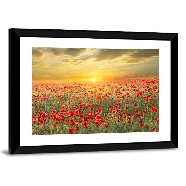 Poppy Filed At Sunset Canvas Wall Art-5 Horizontal-Gallery Wrap-22" x 12"-Tiaracle