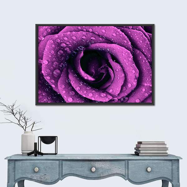 Purple Rose With Dew Drops Canvas Wall Art-1 Piece-Floating Frame-24" x 16"-Tiaracle