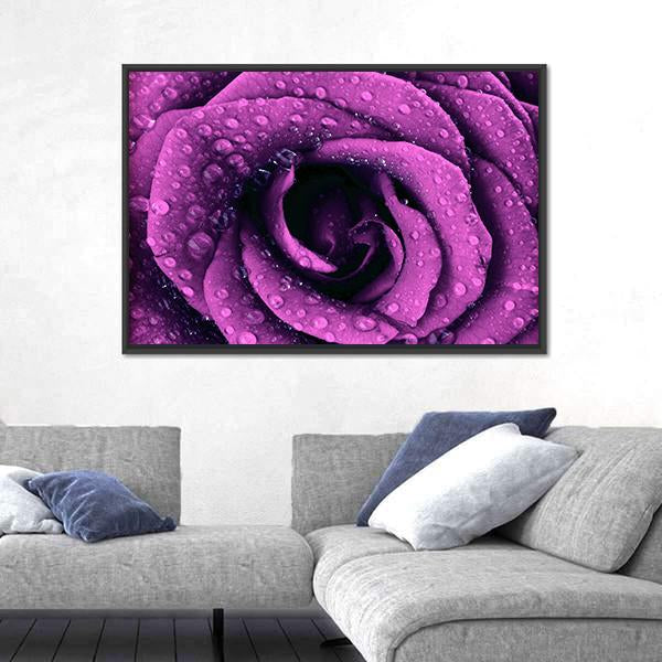 Purple Rose With Dew Drops Canvas Wall Art-5 Horizontal-Gallery Wrap-22" x 12"-Tiaracle