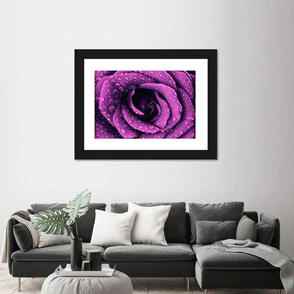 Purple Rose With Dew Drops Canvas Wall Art-5 Horizontal-Gallery Wrap-22" x 12"-Tiaracle
