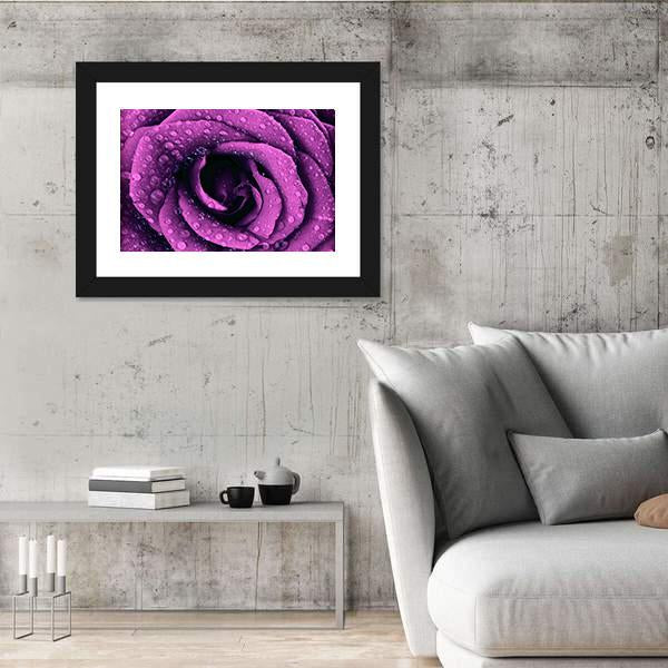 Purple Rose With Dew Drops Canvas Wall Art-5 Horizontal-Gallery Wrap-22" x 12"-Tiaracle