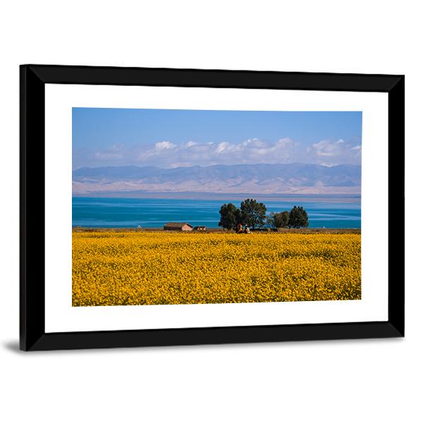Qinghai Scenery Canvas Wall Art-3 Horizontal-Gallery Wrap-25" x 16"-Tiaracle