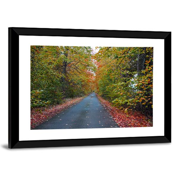 Quiet Leafy Country Lane Canvas Wall Art-5 Horizontal-Gallery Wrap-22" x 12"-Tiaracle