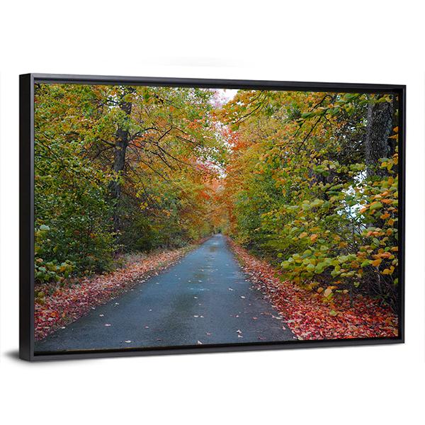 Quiet Leafy Country Lane Canvas Wall Art-5 Horizontal-Gallery Wrap-22" x 12"-Tiaracle