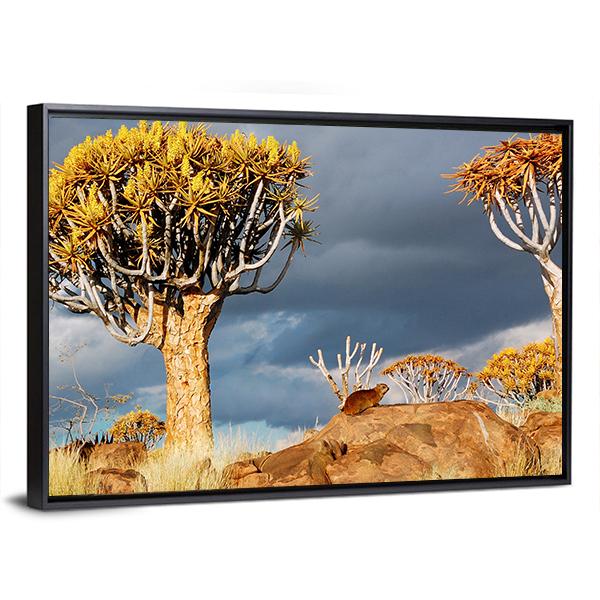 Quiver Tree Forest Landscape In South Africa Canvas Wall Art-3 Horizontal-Gallery Wrap-25" x 16"-Tiaracle