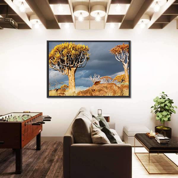 Quiver Tree Forest Landscape In South Africa Canvas Wall Art-3 Horizontal-Gallery Wrap-25" x 16"-Tiaracle
