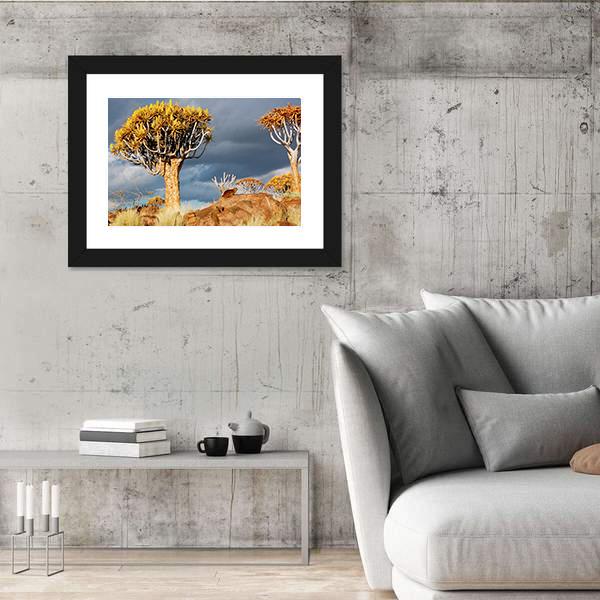 Quiver Tree Forest Landscape In South Africa Canvas Wall Art-3 Horizontal-Gallery Wrap-25" x 16"-Tiaracle