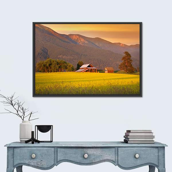 Rapeseed Farm And Barn In Evening Sun Light Canvas Wall Art-1 Piece-Floating Frame-24" x 16"-Tiaracle
