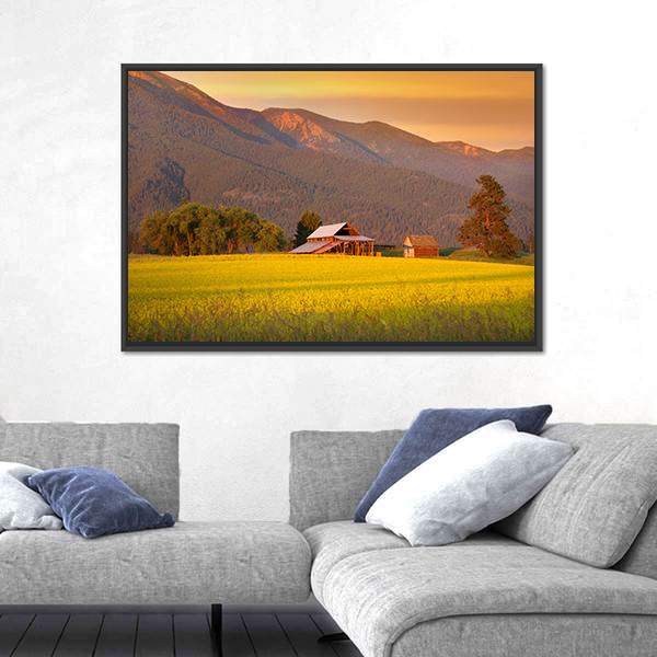 Rapeseed Farm And Barn In Evening Sun Light Canvas Wall Art-5 Horizontal-Gallery Wrap-22" x 12"-Tiaracle