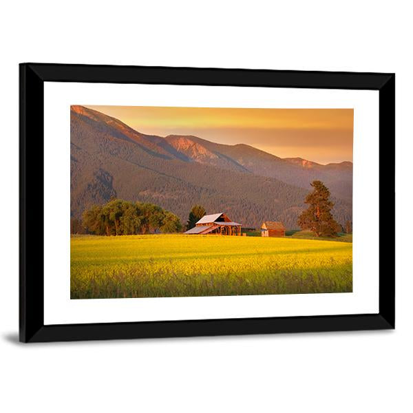 Rapeseed Farm And Barn In Evening Sun Light Canvas Wall Art-5 Horizontal-Gallery Wrap-22" x 12"-Tiaracle