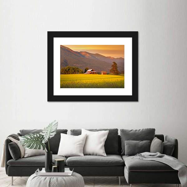 Rapeseed Farm And Barn In Evening Sun Light Canvas Wall Art-5 Horizontal-Gallery Wrap-22" x 12"-Tiaracle