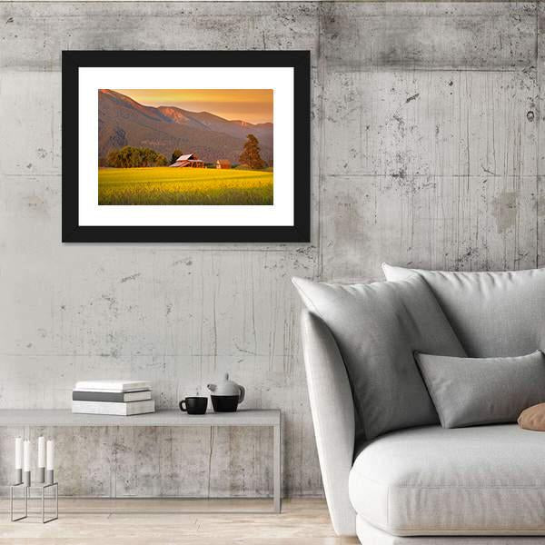 Rapeseed Farm And Barn In Evening Sun Light Canvas Wall Art-5 Horizontal-Gallery Wrap-22" x 12"-Tiaracle