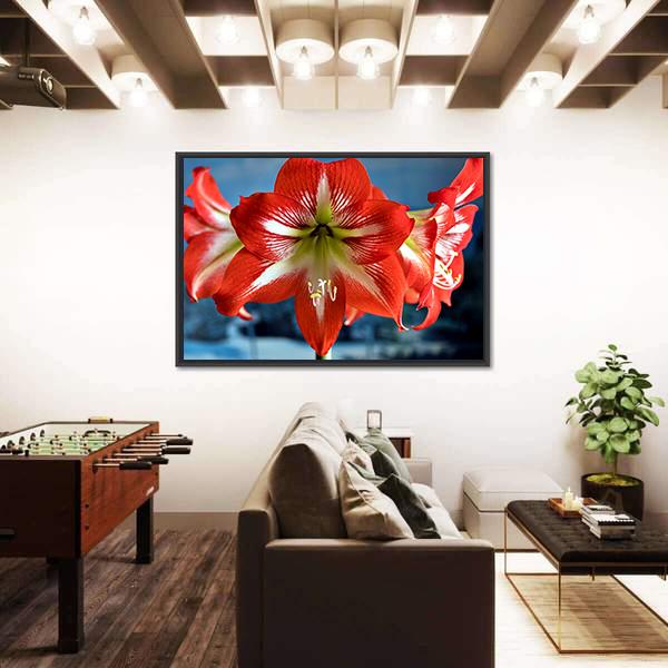 Red Amarillis Flower Canvas Wall Art-5 Horizontal-Gallery Wrap-22" x 12"-Tiaracle