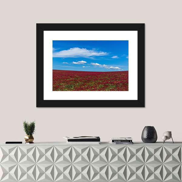 Red Clover Field And Blue Sky Canvas Wall Art-1 Piece-Framed Print-20" x 16"-Tiaracle