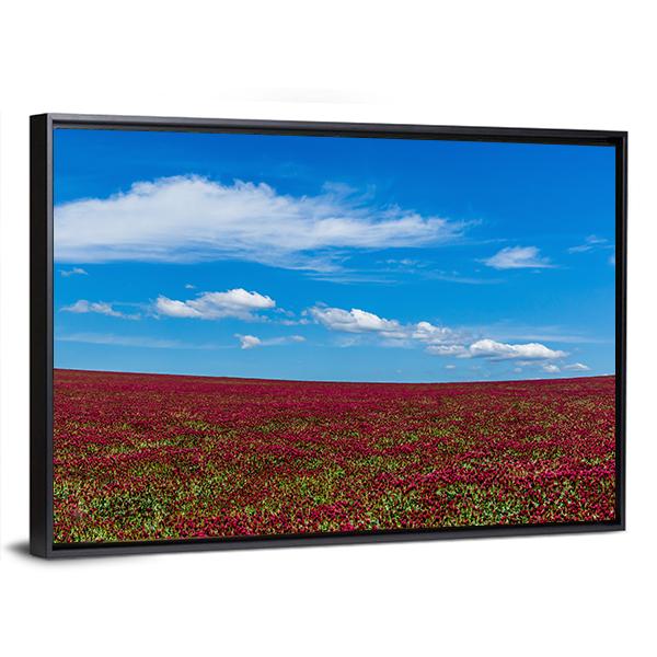 Red Clover Field And Blue Sky Canvas Wall Art-3 Horizontal-Gallery Wrap-25" x 16"-Tiaracle
