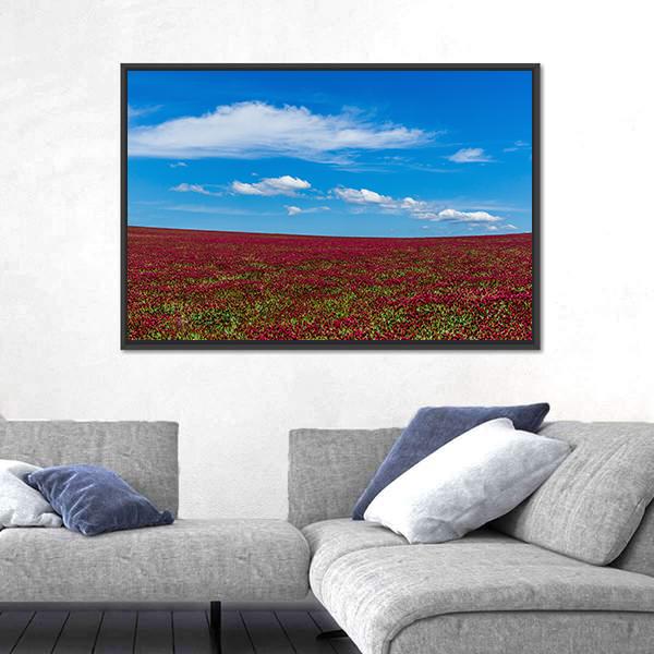 Red Clover Field And Blue Sky Canvas Wall Art-3 Horizontal-Gallery Wrap-25" x 16"-Tiaracle
