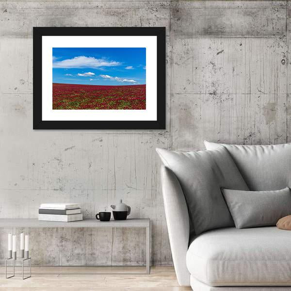 Red Clover Field And Blue Sky Canvas Wall Art-3 Horizontal-Gallery Wrap-25" x 16"-Tiaracle