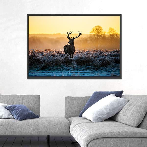 Red Deer in Morning Sun Canvas Wall Art-5 Horizontal-Gallery Wrap-22" x 12"-Tiaracle