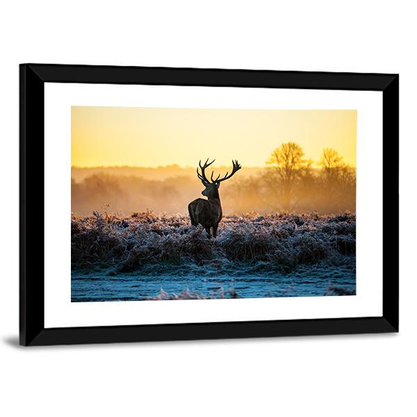 Red Deer in Morning Sun Canvas Wall Art-5 Horizontal-Gallery Wrap-22" x 12"-Tiaracle