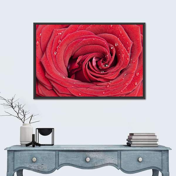 Red Rose Close Up Canvas Wall Art in red, framed canvas, product view on a white background