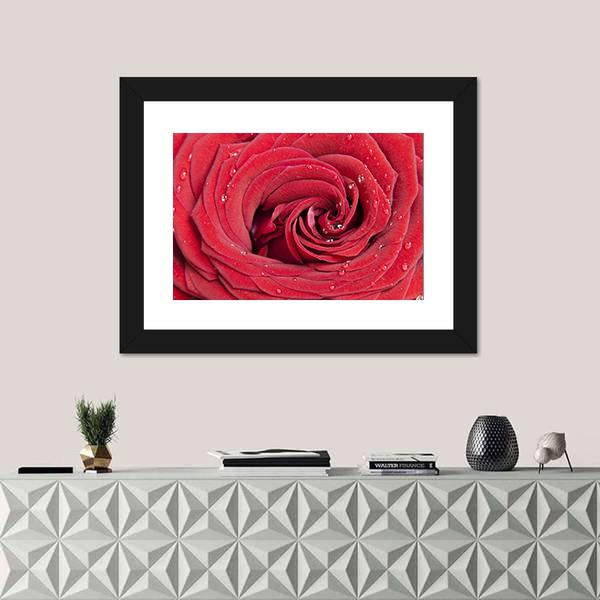 Red Rose Close Up Canvas Wall Art-1 Piece-Framed Print-20" x 16"-Tiaracle
