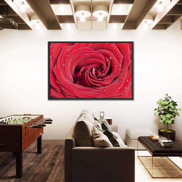 Red Rose Close Up Canvas Wall Art-3 Horizontal-Gallery Wrap-25" x 16"-Tiaracle