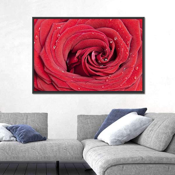 Red Rose Close Up Canvas Wall Art-3 Horizontal-Gallery Wrap-25" x 16"-Tiaracle