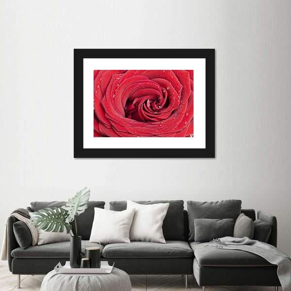 Red Rose Close Up Canvas Wall Art-3 Horizontal-Gallery Wrap-25" x 16"-Tiaracle