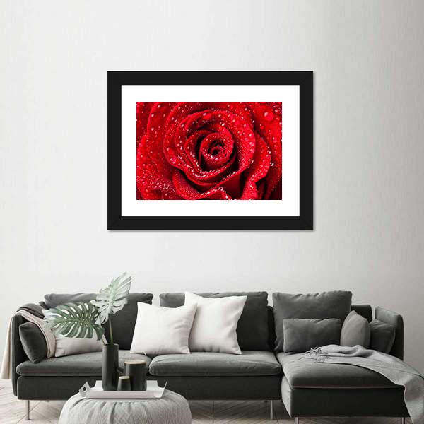 Red Rose With Dew Drops Canvas Wall Art-3 Horizontal-Gallery Wrap-25" x 16"-Tiaracle