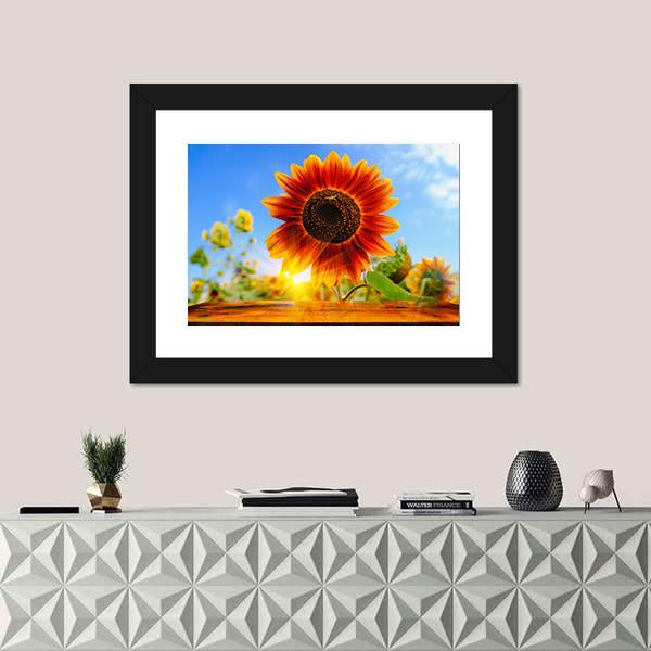 Red Sunflowers Field With Sun Rise Flare Effect Canvas Wall Art-1 Piece-Framed Print-20" x 16"-Tiaracle