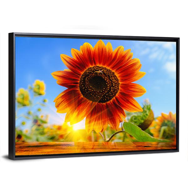 Red Sunflowers Field With Sun Rise Flare Effect Canvas Wall Art-3 Horizontal-Gallery Wrap-25" x 16"-Tiaracle