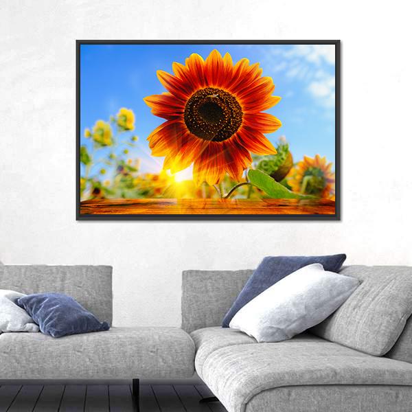 Red Sunflowers Field With Sun Rise Flare Effect Canvas Wall Art-3 Horizontal-Gallery Wrap-25" x 16"-Tiaracle