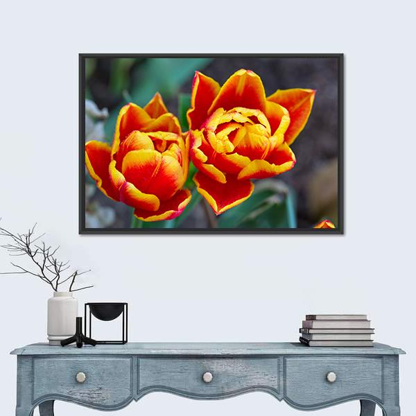 Red Tulips Close-up Canvas Wall Art in red, yellow and green, framed canvas, product view on a white background