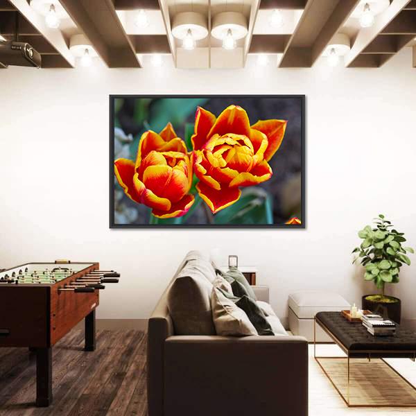 Red Tulips Close-Up Canvas Wall Art-5 Horizontal-Gallery Wrap-22" x 12"-Tiaracle