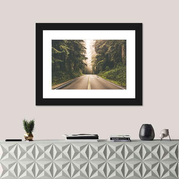 Redwood Forest Highway In California Canvas Wall Art-1 Piece-Framed Print-20" x 16"-Tiaracle