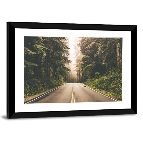 Redwood Forest Highway In California Canvas Wall Art-3 Horizontal-Gallery Wrap-25" x 16"-Tiaracle