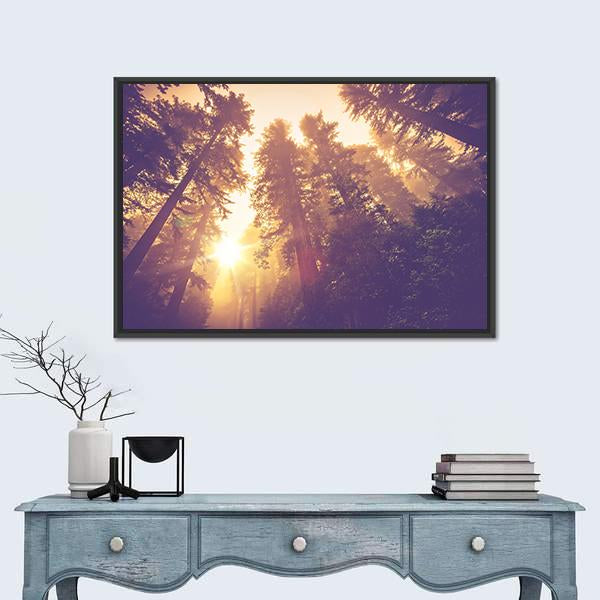 Warm Vintage Redwood Forest Canvas Wall Art in brown, orange and yellow, framed canvas, product view on a white background