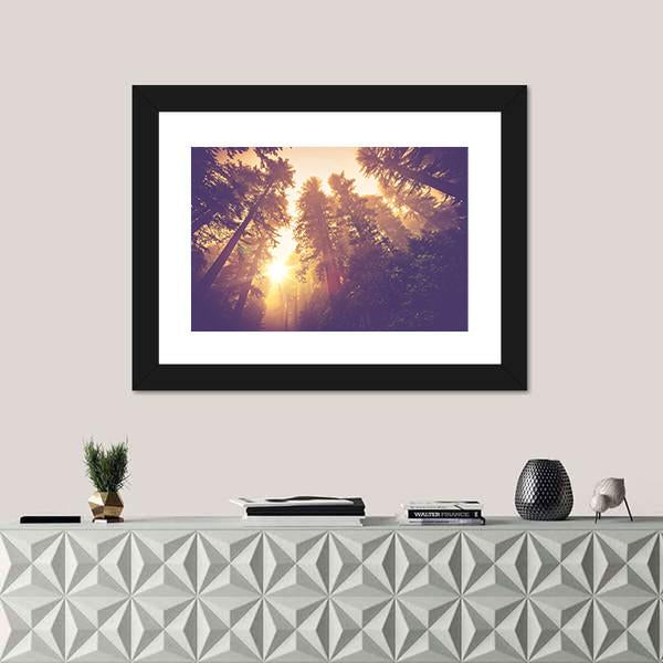 Warm Vintage Redwood Forest Canvas Wall Art in brown, orange and yellow, framed print, product view on a white background