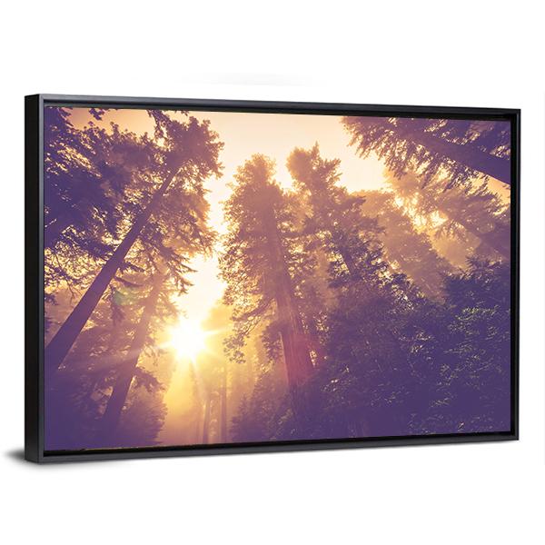 Redwood Forest In Warm Vintage Canvas Wall Art-3 Horizontal-Gallery Wrap-25" x 16"-Tiaracle