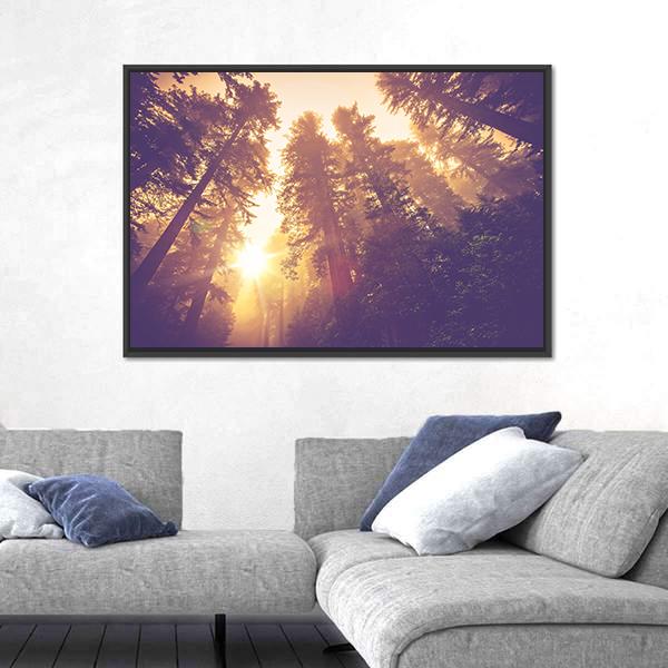 Redwood Forest In Warm Vintage Canvas Wall Art-3 Horizontal-Gallery Wrap-25" x 16"-Tiaracle
