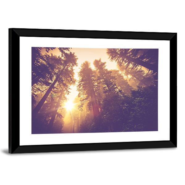 Redwood Forest In Warm Vintage Canvas Wall Art-3 Horizontal-Gallery Wrap-25" x 16"-Tiaracle