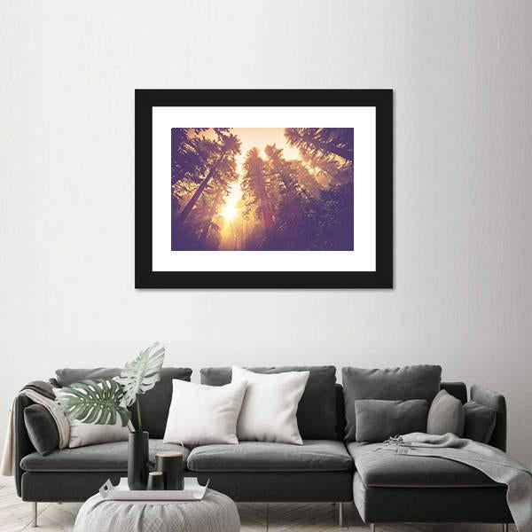 Redwood Forest In Warm Vintage Canvas Wall Art-3 Horizontal-Gallery Wrap-25" x 16"-Tiaracle